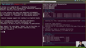 Check an R package with a future version of R using the docker image rocker/r-devel
