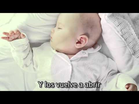 "Arrorro" Cancion de Cuna para bebes con letra - relajar - calmar - arrullar - Mozart #