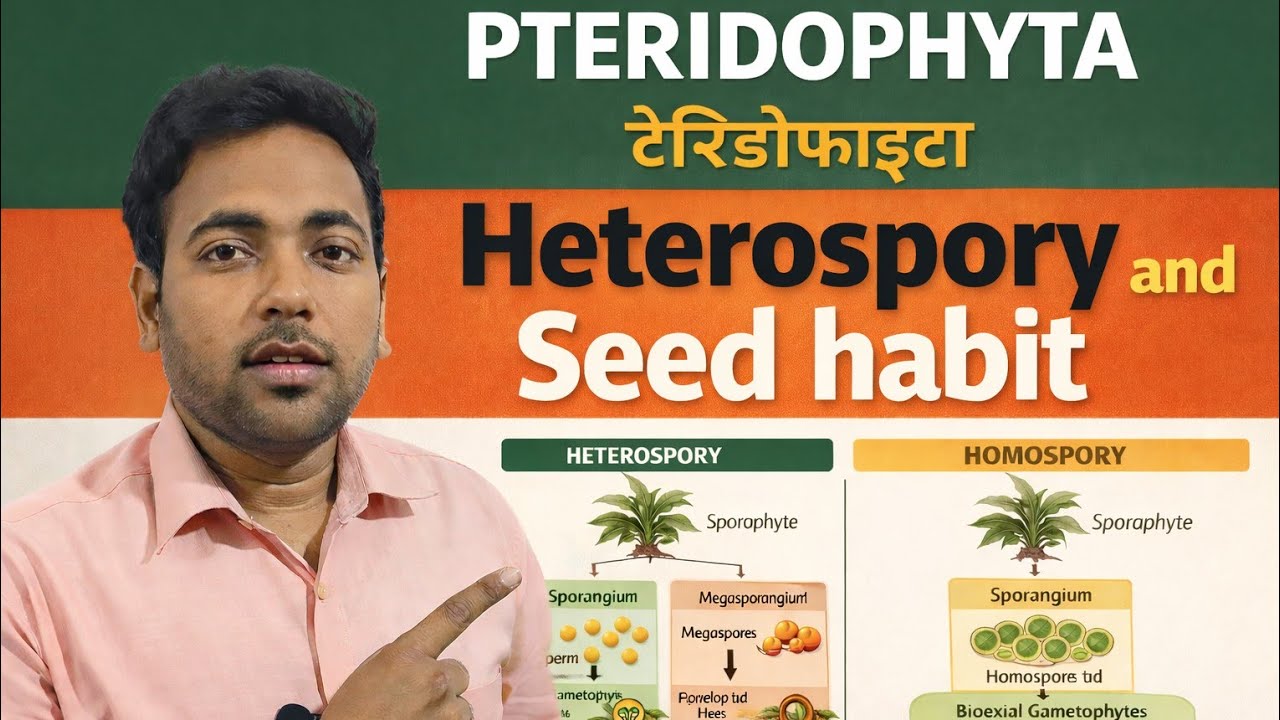 Heterospory and Seed Habit in Pteridophyta | B.Sc & M.Sc Botany ...