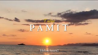 Tulus  Pamit  Lirik Lagu