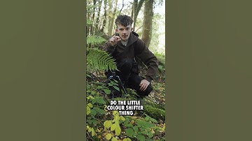 Mushroom Macro Photography. Full video on my YouTube channel #macro #mushroomphotography