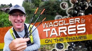 Waggler & Tares!