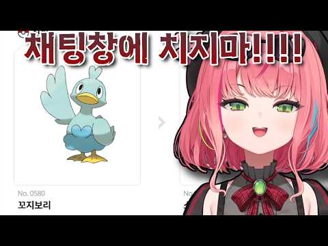 반갑꼬지보리