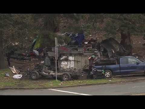 Multiple cars stripped