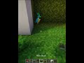 insane minecraft parrot cage