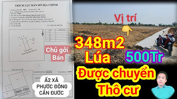 Chỉ 500 triệu mua được lô đất lúa được chuyển thổ cư xã phước đông cần đước Diện tích 348m2