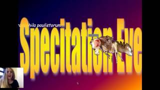 Macroevolution (Part 5: More Molecular +Observed Speciation)