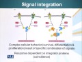 BIO201 Cell Biology Lecture No 113