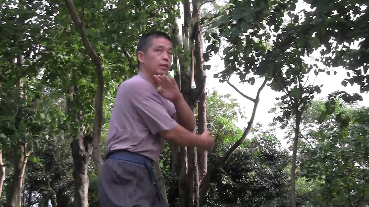 鴻勝蔡李佛張容喜師傅演練示範