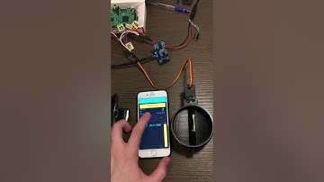 Pet Feeder IoT