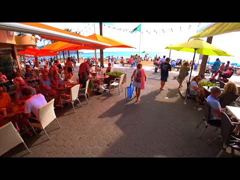 Benidorm 1 November