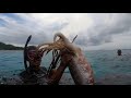 Jackpot daming huling Cuttlefish