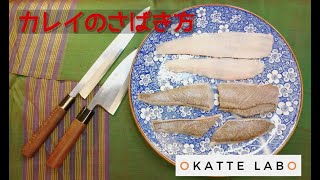 ムニエルや煮付けに！カレイの五枚おろし！