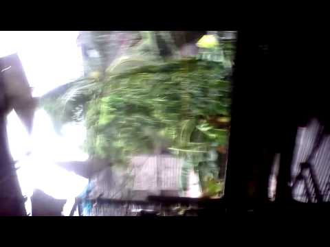 Video: Ang Museo Ay Natutunaw Sa Manipis Na Hangin