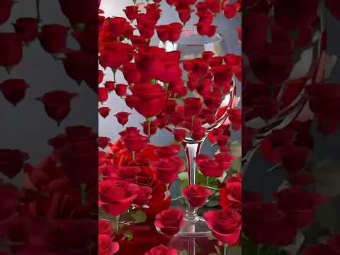 صباح الورد والياسمين صباحكم سعادة يارب العالمين