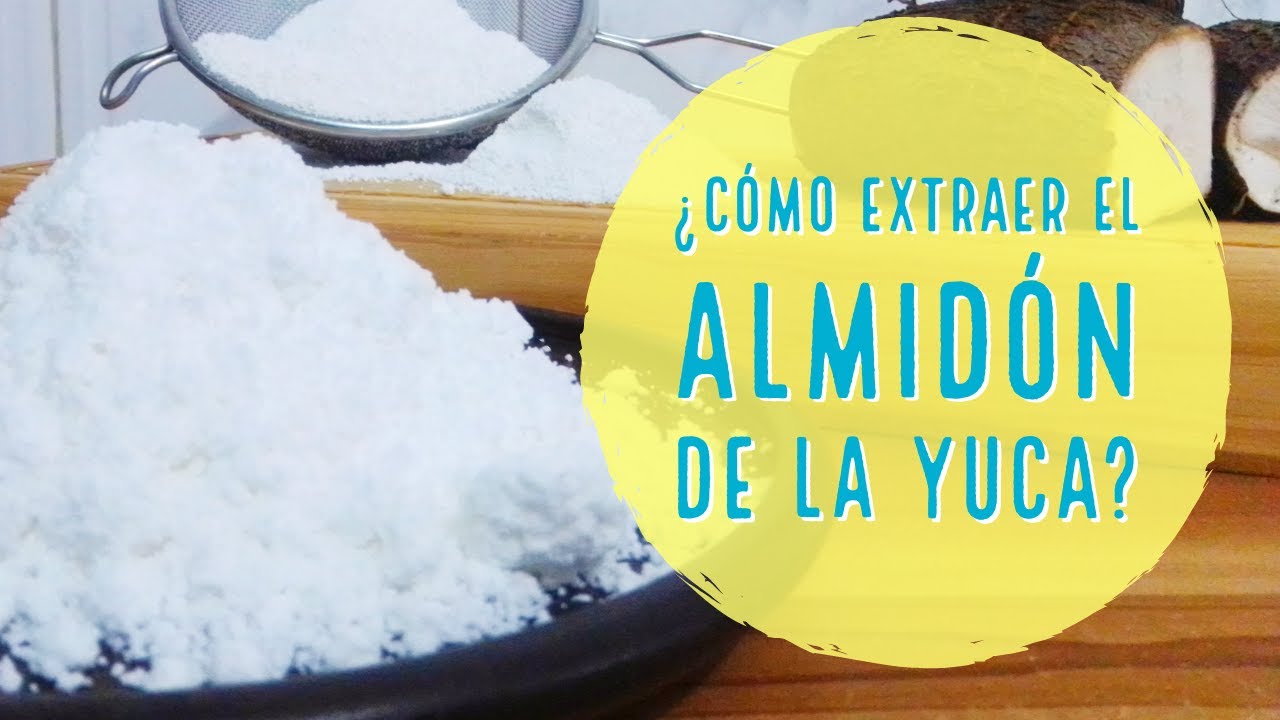 Almidón de Yuca [Receta + Video] Cómo Extraer Almidón de Yuca