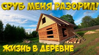 Сруб дома меня разорил! В какую сумму обошёлся сруб за 165 т.р? [Жизнь в деревне]