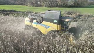 New Holland Cx 8080