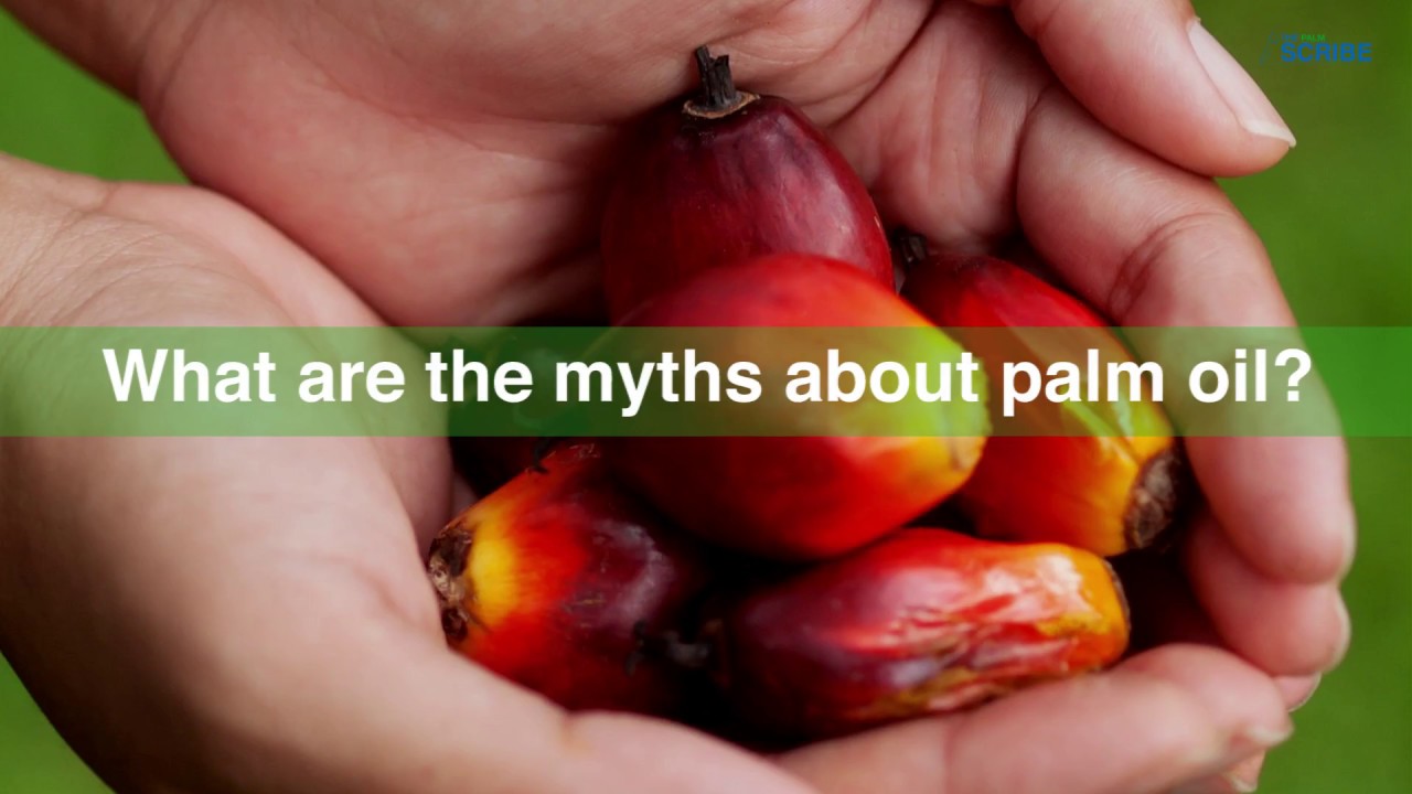 Unraveling the myths and facts on palm oil YouTube