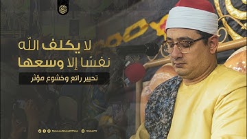 "لا يكلف الله نفسًا إلا وسعها" محمود الشحات أنور يبدع بتحبير رائع وخشوع مؤثر لـ خواتيم سورة البقرة