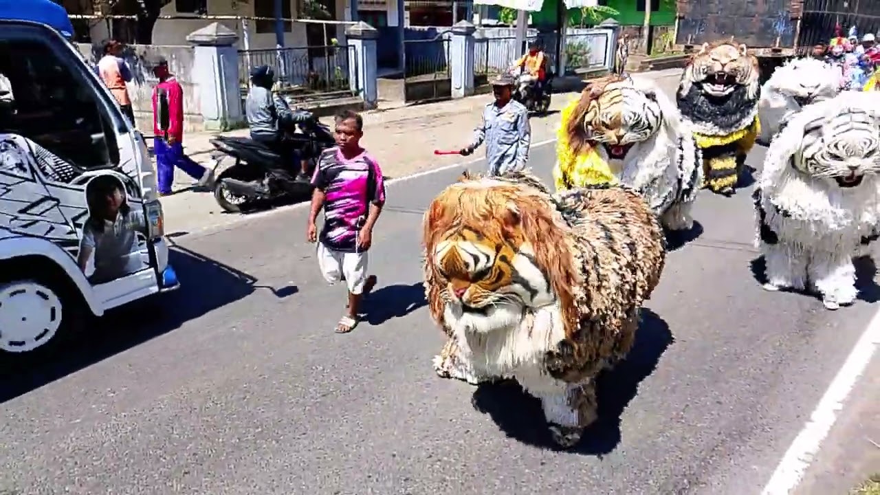 Part 1 kirap  can macanan singa nanjaya X drambend Annur 