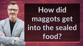 How did maggots get into the sealed food?