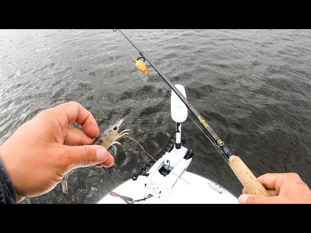Catching Speckled Trout & Striped Bass Every Cast With This Rig (Slip Float  Rig) 