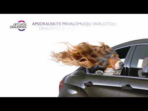 Video: Kas yra apdraustas visapusišku automobilio draudimu?