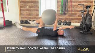 How to Do a Stability Ball Contralateral Dead Bug