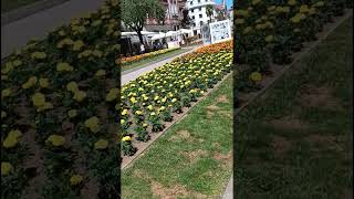 Maravilha de Braga! #walking #travel #portugal #tour #apie #braga