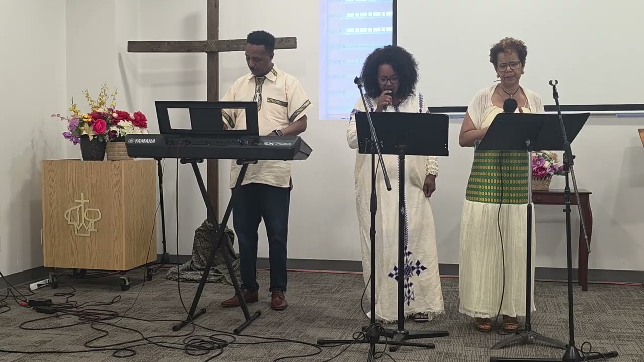 Tigrayan Alliance Follwship 