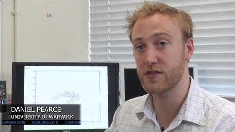 Scientists Unlock Mystery of Bird Flocks