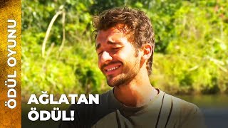 Survi̇vorda Büyük Ödül Survivor Ünlüler Gönüllüler