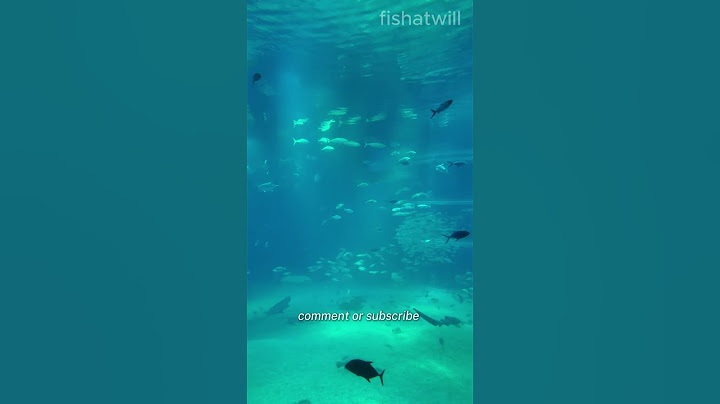 Osaka Aquarium Kaiyukan