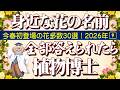 初登場の花多数!【身近な花の名前30選】全部答えられたら「植物博士」!全てオリジナル動画で、昨年の動画は一切使用していません。〈2026年版⑨〉何問正解したかコメントしてね。
