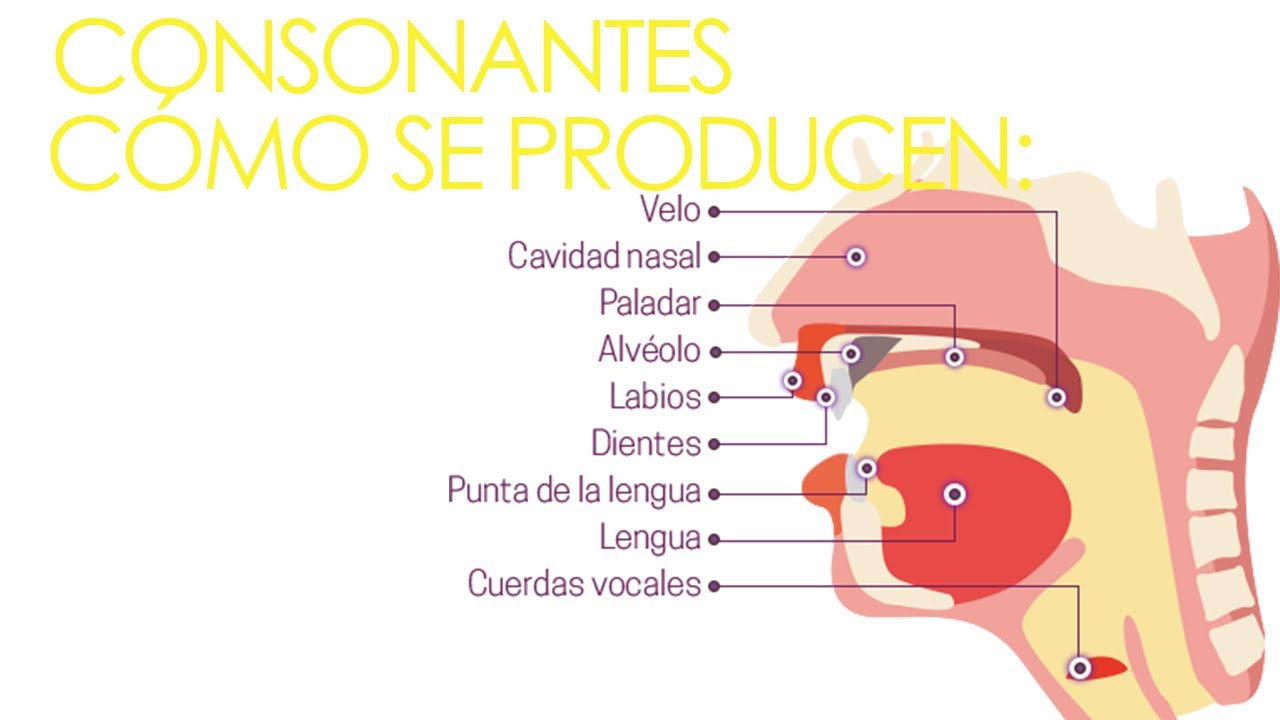 Cuadro Consonantico Espanol
