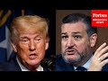 "Trump Drove Senate Democrats Crazy" Ted Cruz Rails Against Partisanship As 3 Of His Amendments Fail
