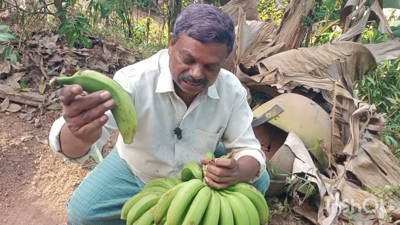 വാഴക്കുലക്ക് വിലയില്ലെങ്കിൽ ഇങ്ങനെ ചെയ്താൽ മതി