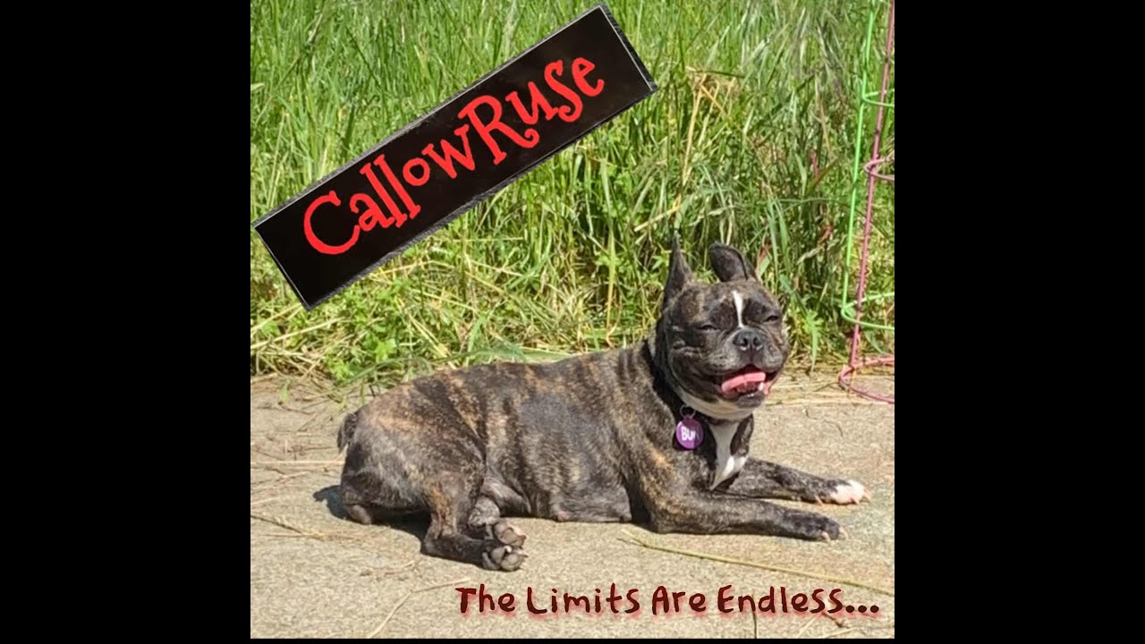Watch CallowRuse - Bum Luck (Lyric Video) on YouTube Watch CallowRuse - Bum Luck (Lyric Video) on YouTube