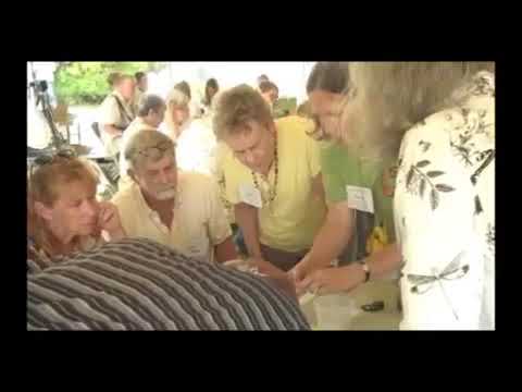 Be a monarch butterfly citizen scientist