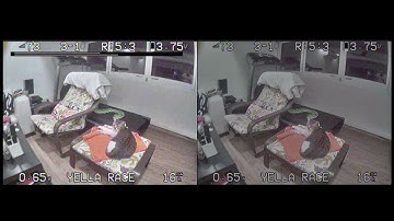 Rapidfire V1.1.1 mode 1Test4 2 Omni antennas