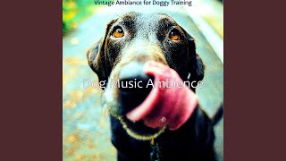 Simplistic Ambiance for Doggy Training