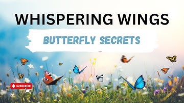 How Butterflies Communicate: Signals Of Colors, Scents, And Wing Vibrations | Infinite Wisdom Hub