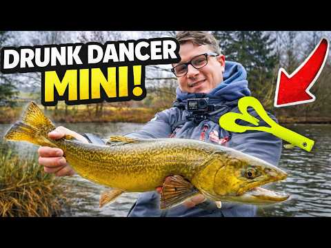 We're testing the new LMAB lures ⚡ and it's carnage! 🎯 (feat. @tristanhedouin)