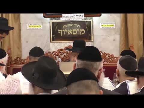 הרב בן ציון מוצפי  •  פרשת נח מוסאיוף  •  מר חשון תשפ"ד  ​