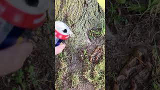 R.i.p. Mario And Sonic At The Olympic Games Series.