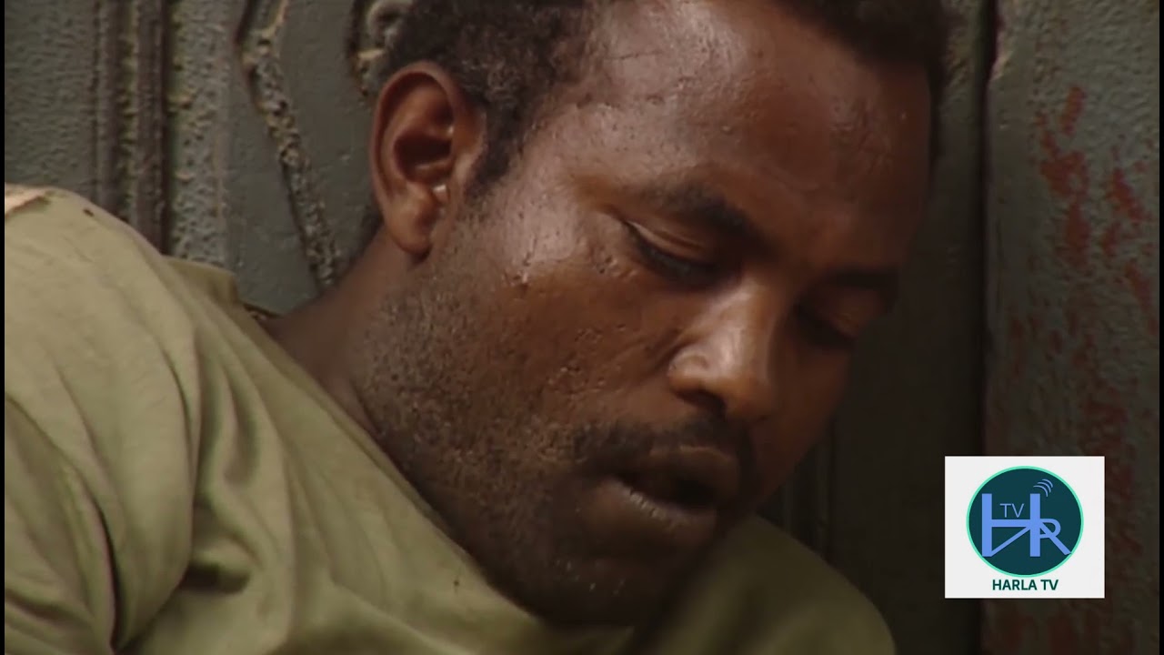 Harla Tube  ቀደምት ሐረሪዎች በታሪክ ሐገራቸውን እንዴት ይጠብቁ ነበር ?