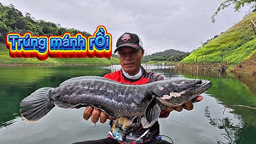 Truy Tìm Cá Bông Khủng Hồ Tà Đùng, Chuyển Trời Cả Đội Trúng Mánh I Tập 2