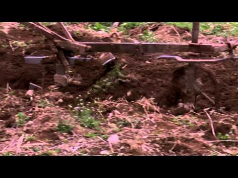 \"მიყვარდა ჩიტის ენაო\" • მაჭახელა სოფ.ზედა ჩხუტუნეთი(აჭარა)