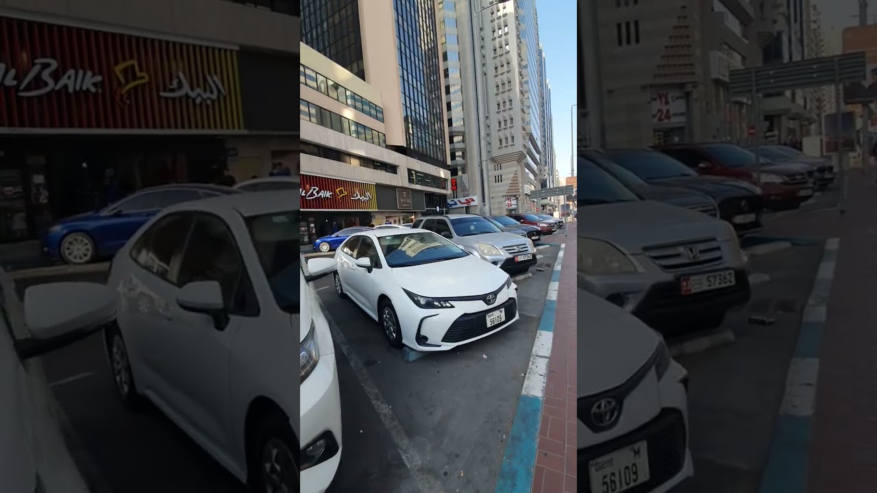 Wazir jhol  abu dhabi  cite